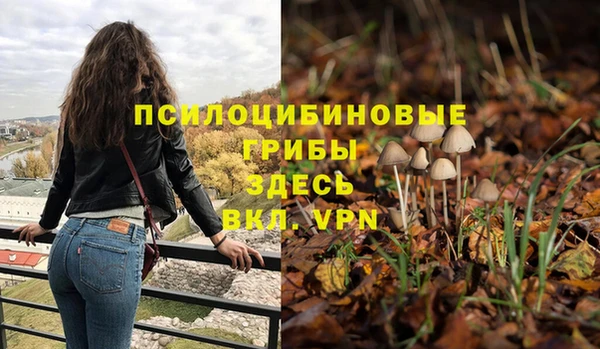 а пвп мука Алексеевка
