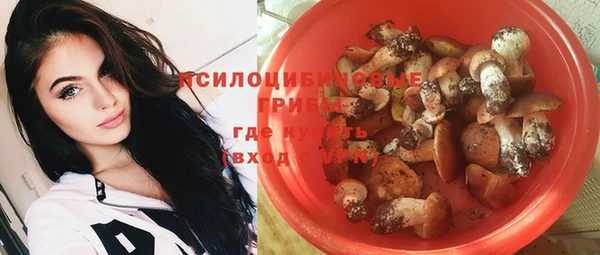 герыч Алексин